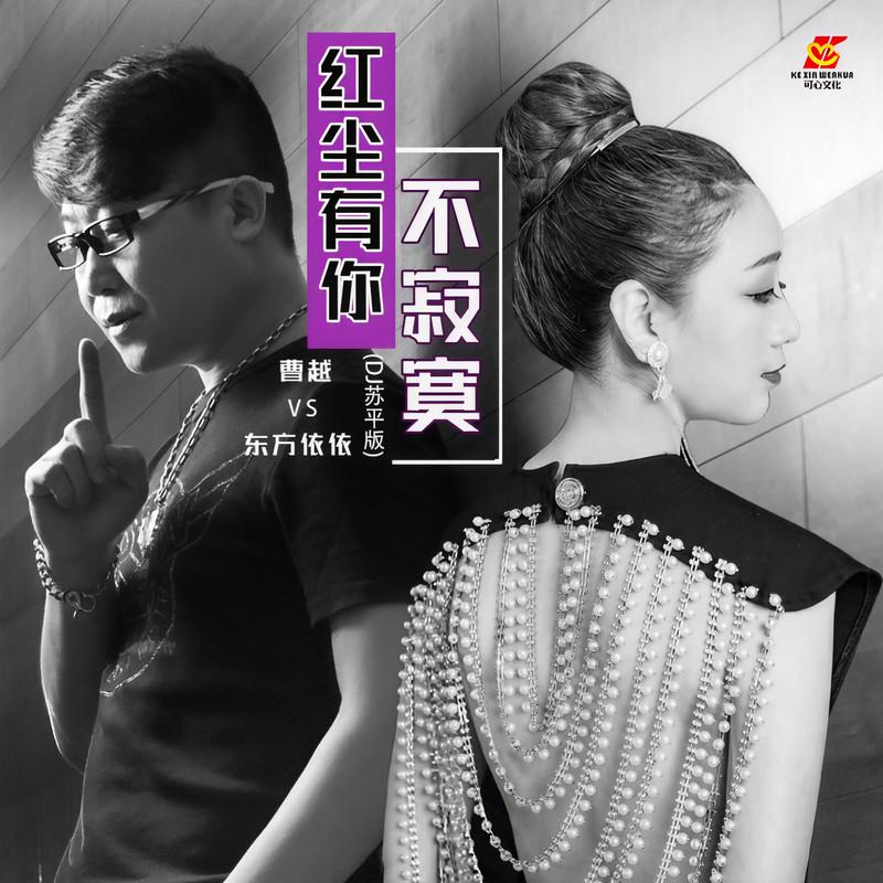 红尘有你不寂寞 (DJ苏平版伴奏)封面
