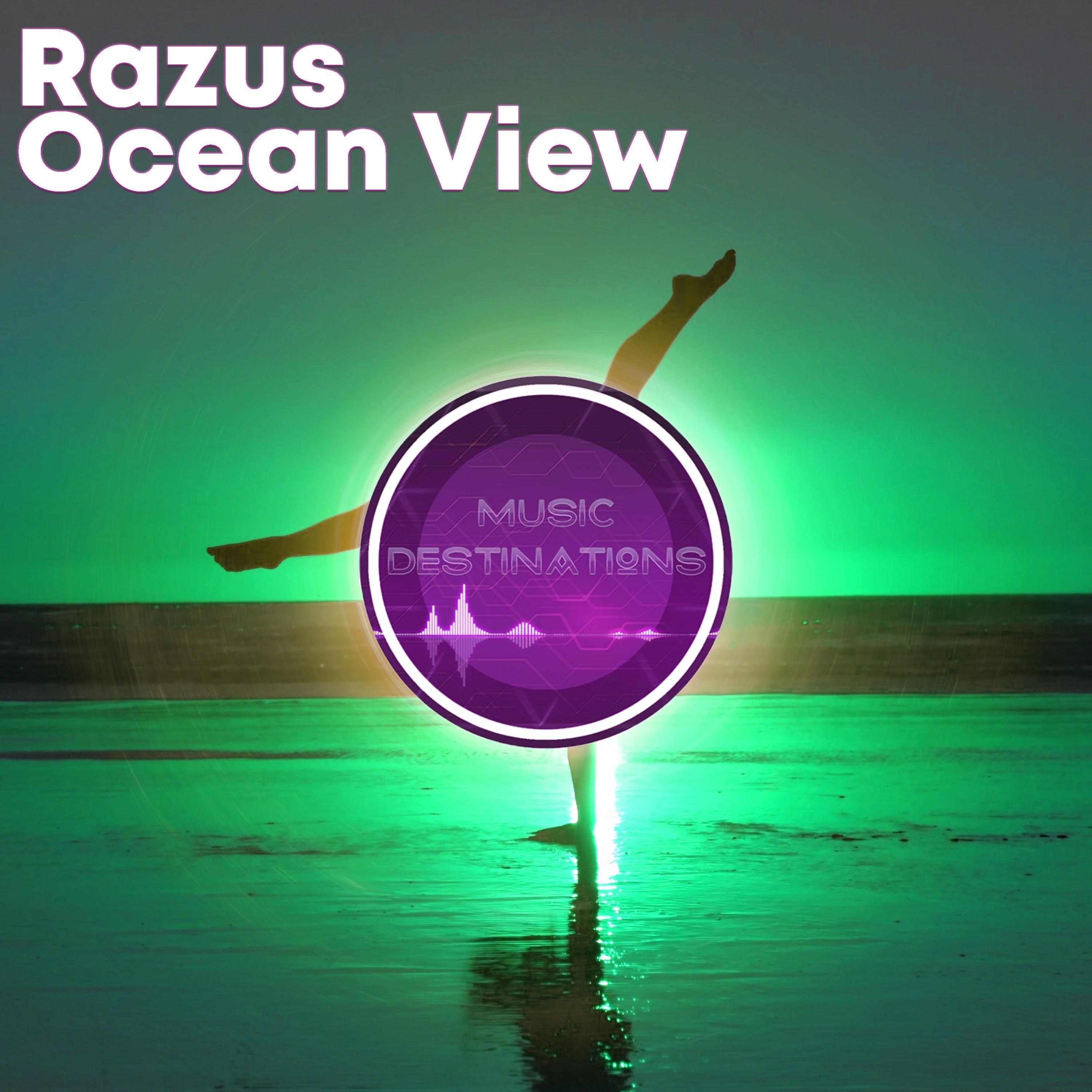 Ocean View (Original Mix)