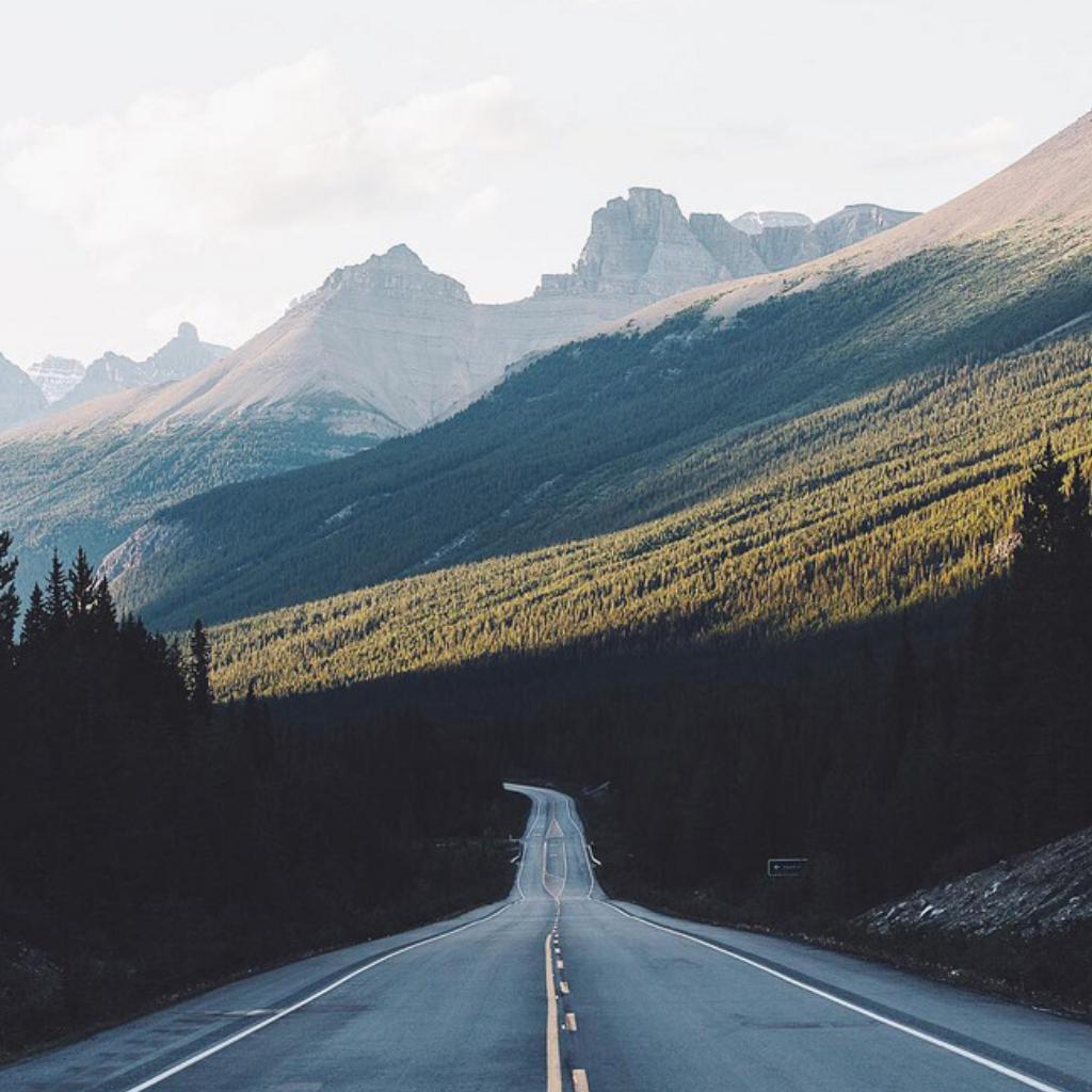 公路片电影丨荧幕里的音乐和歌声中的旅途