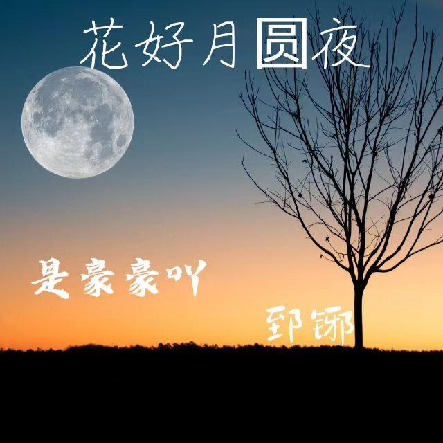 花好月圆夜(Live)封面