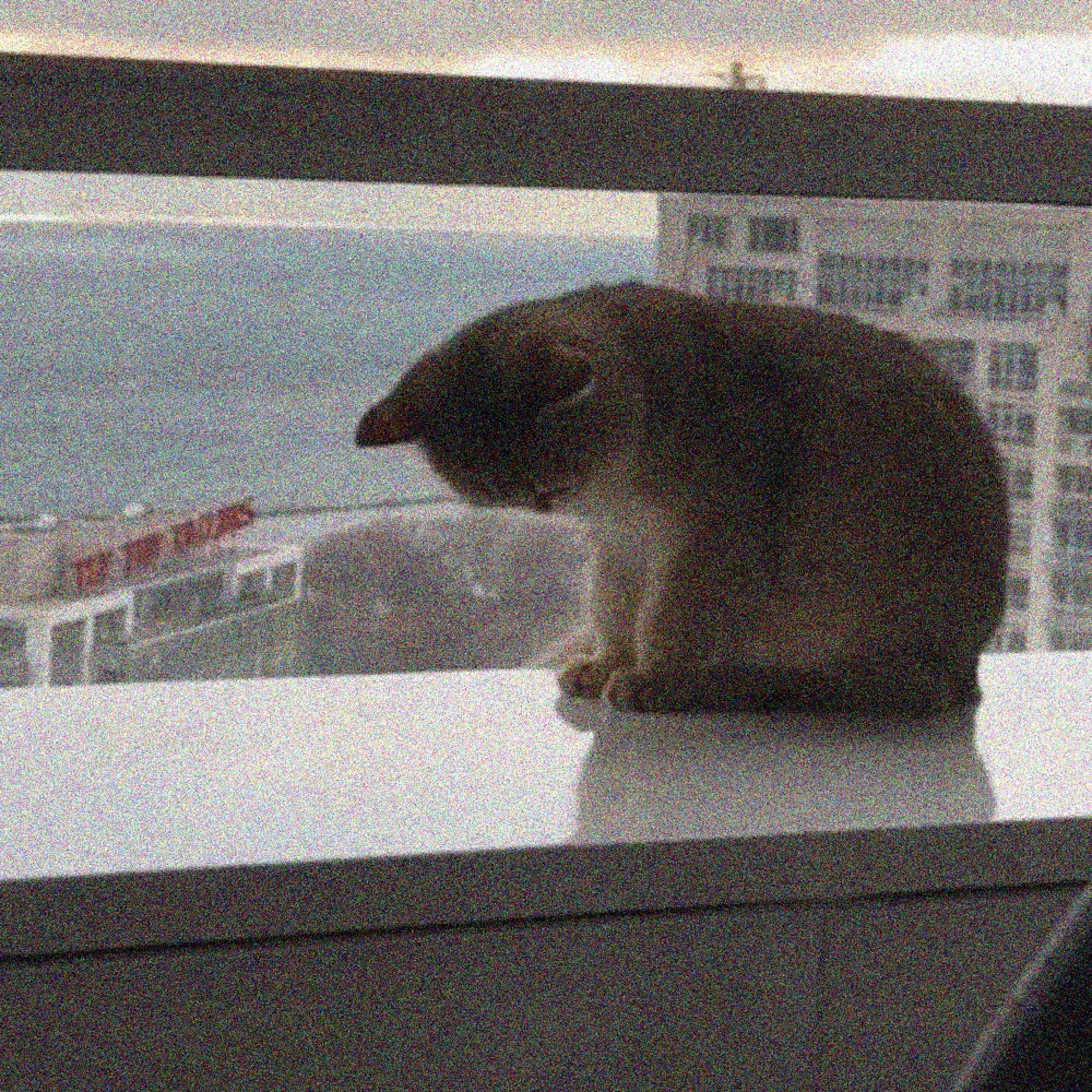 not enough (feat. she left me today)