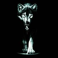 Wild Wolf