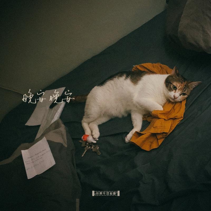 生活还欠你什么封面
