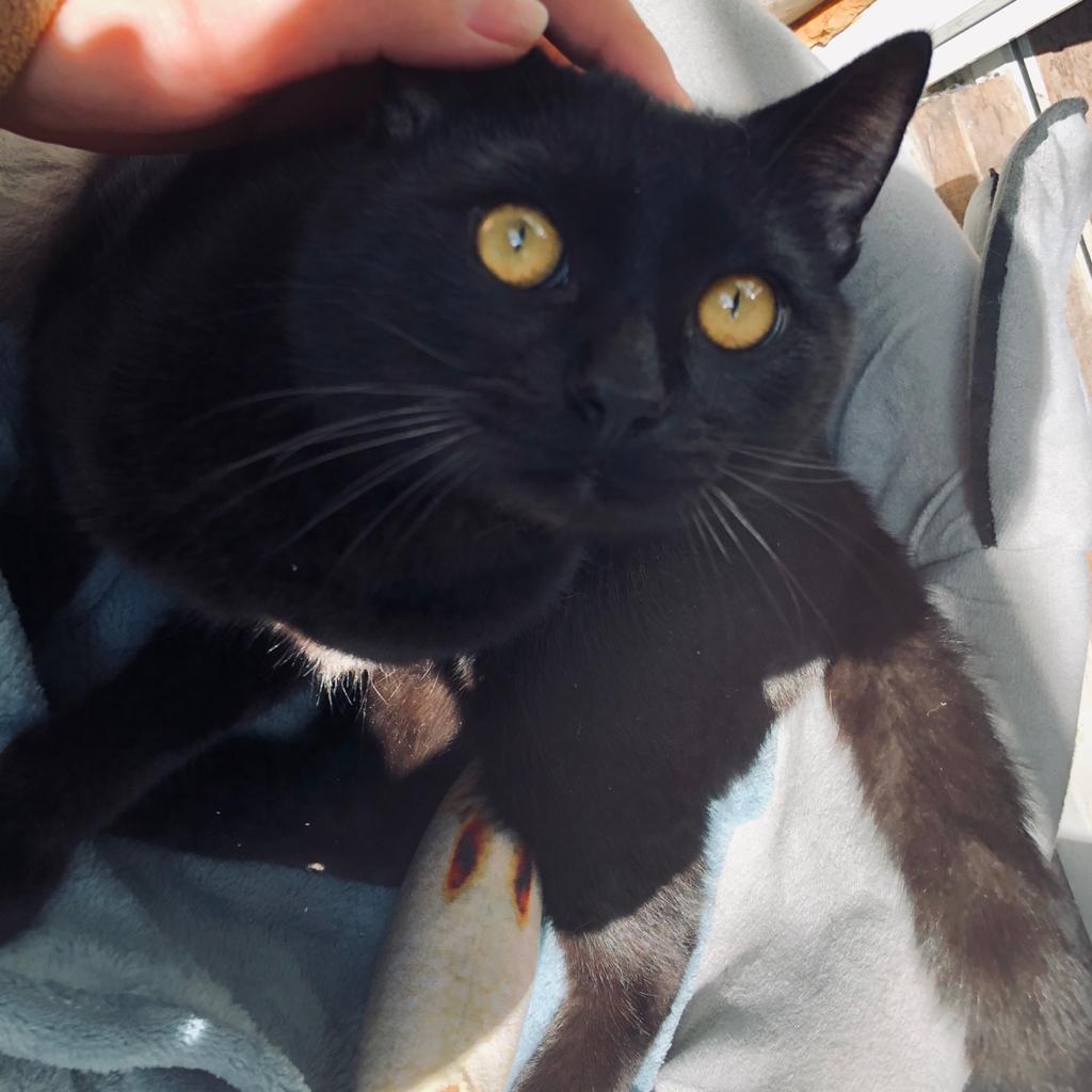 李李李李李李四