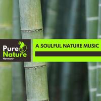 A Soulful Nature Music