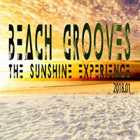 Beach Grooves - The Sunshine Experience 2018.01