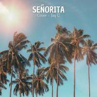 Señorita (Cover)