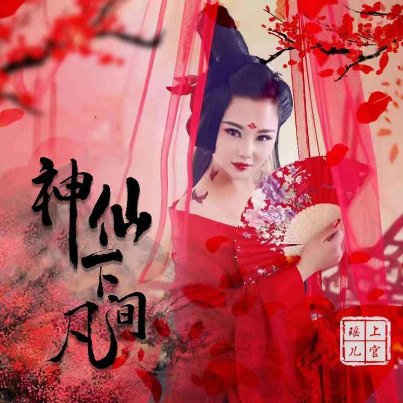 神仙下凡间封面