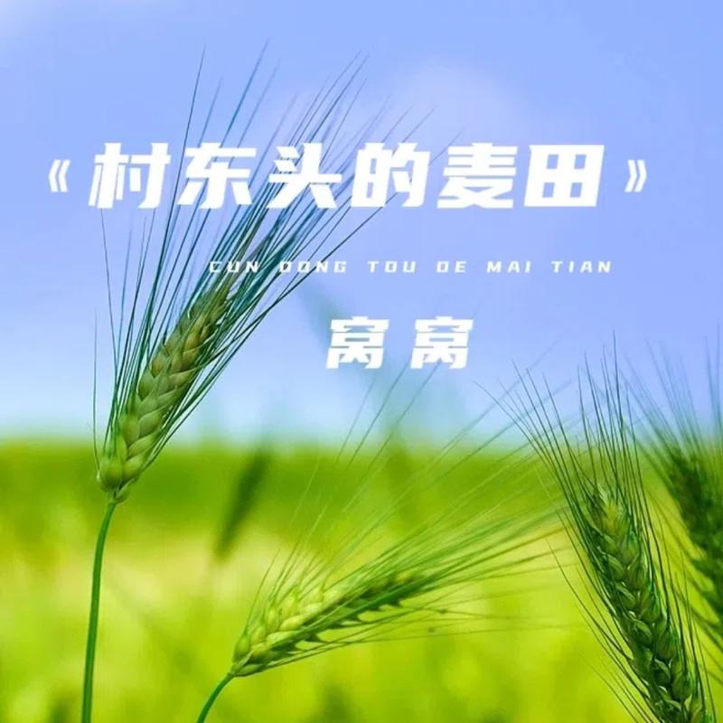 村东头的麦田 (伴奏)封面