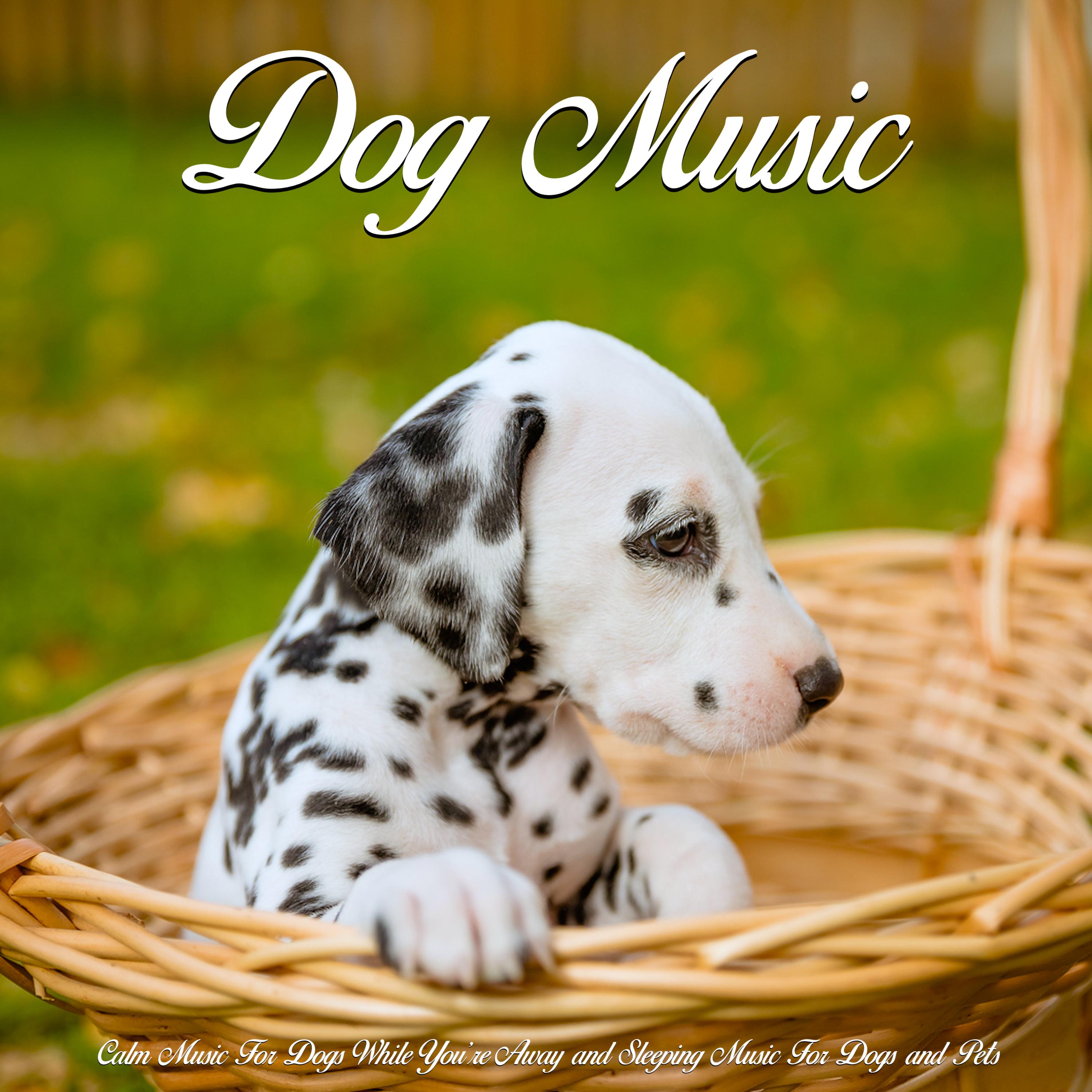 Music For Dogs