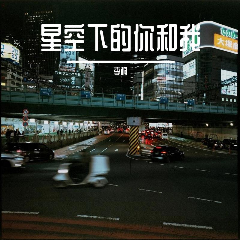 夜空下的你我_李桐_星空下的你和我 | 在线播放_夜空下的你我歌词_夜空下的你我下载 | 网易云音乐