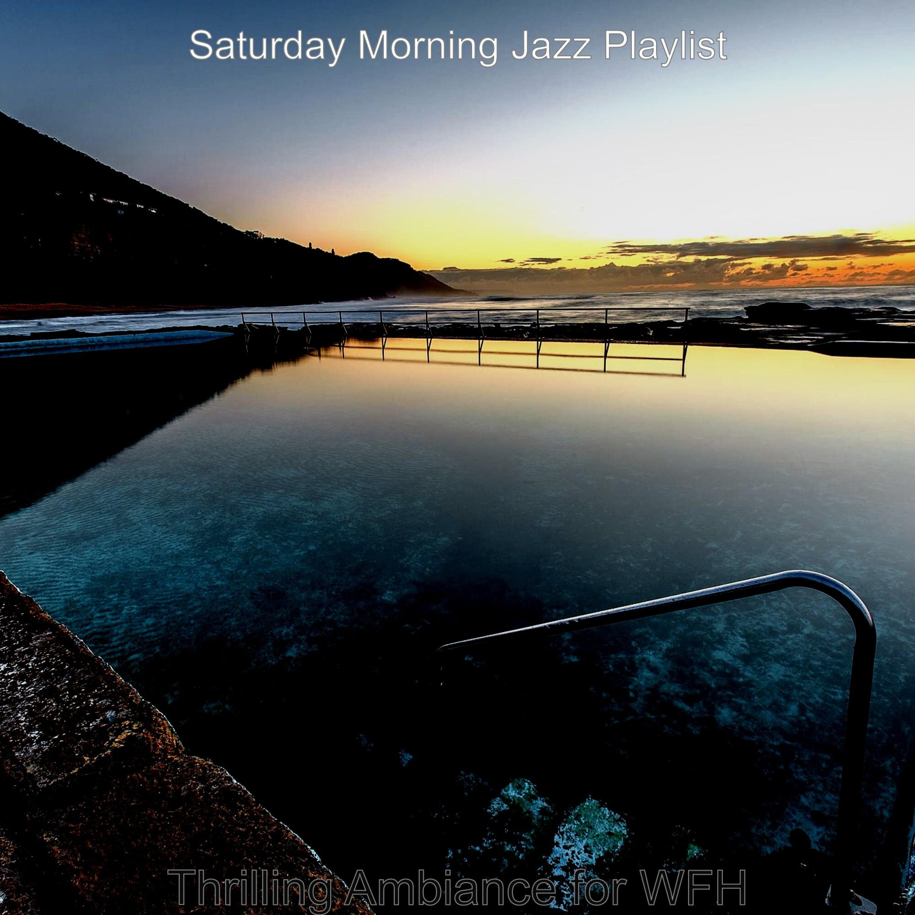 Swanky (Ambiance for Anxiety)