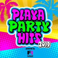 Playa Party Hits 2019 (Powered by Fiesta Records)