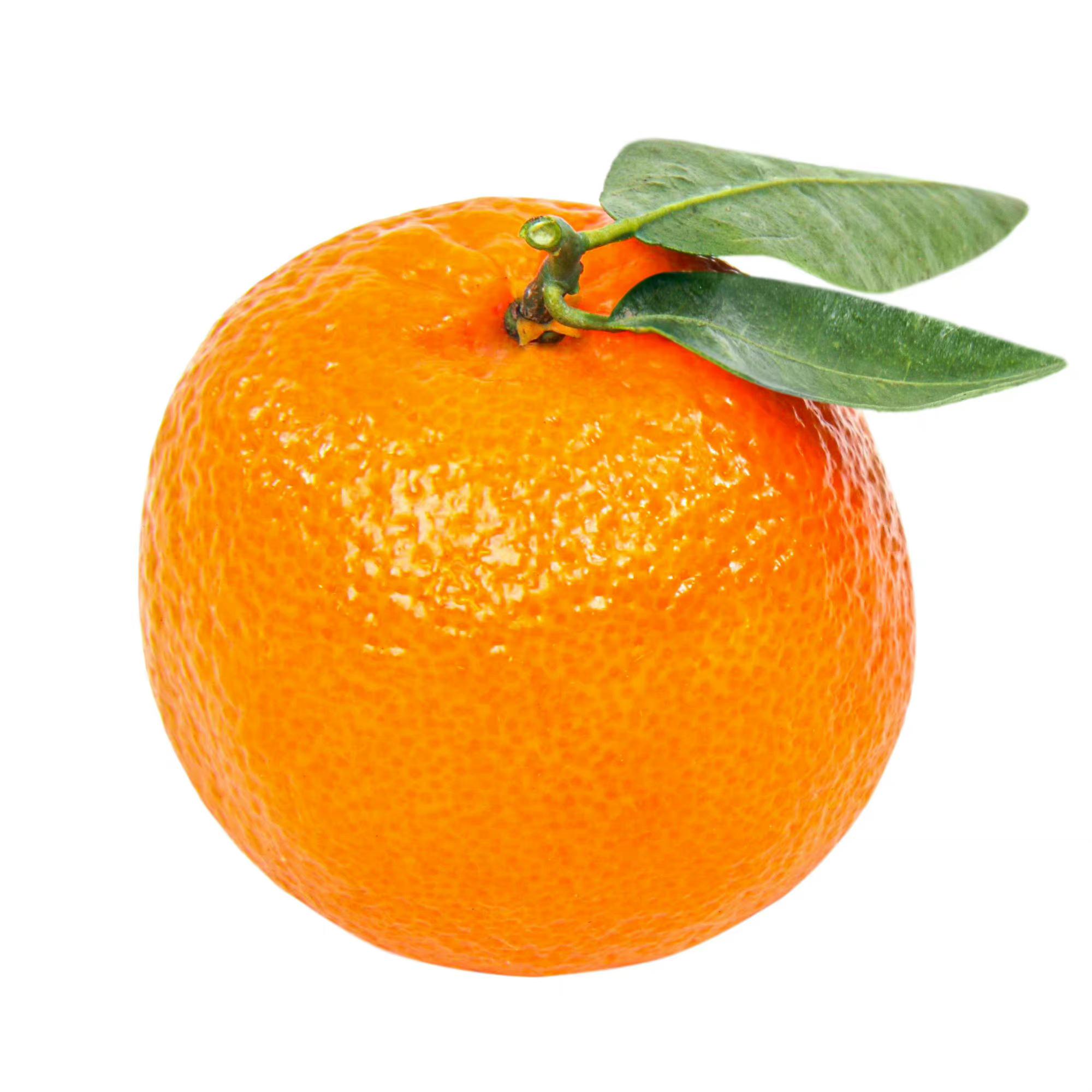 站在草原望北京（翻自 乌兰图雅）