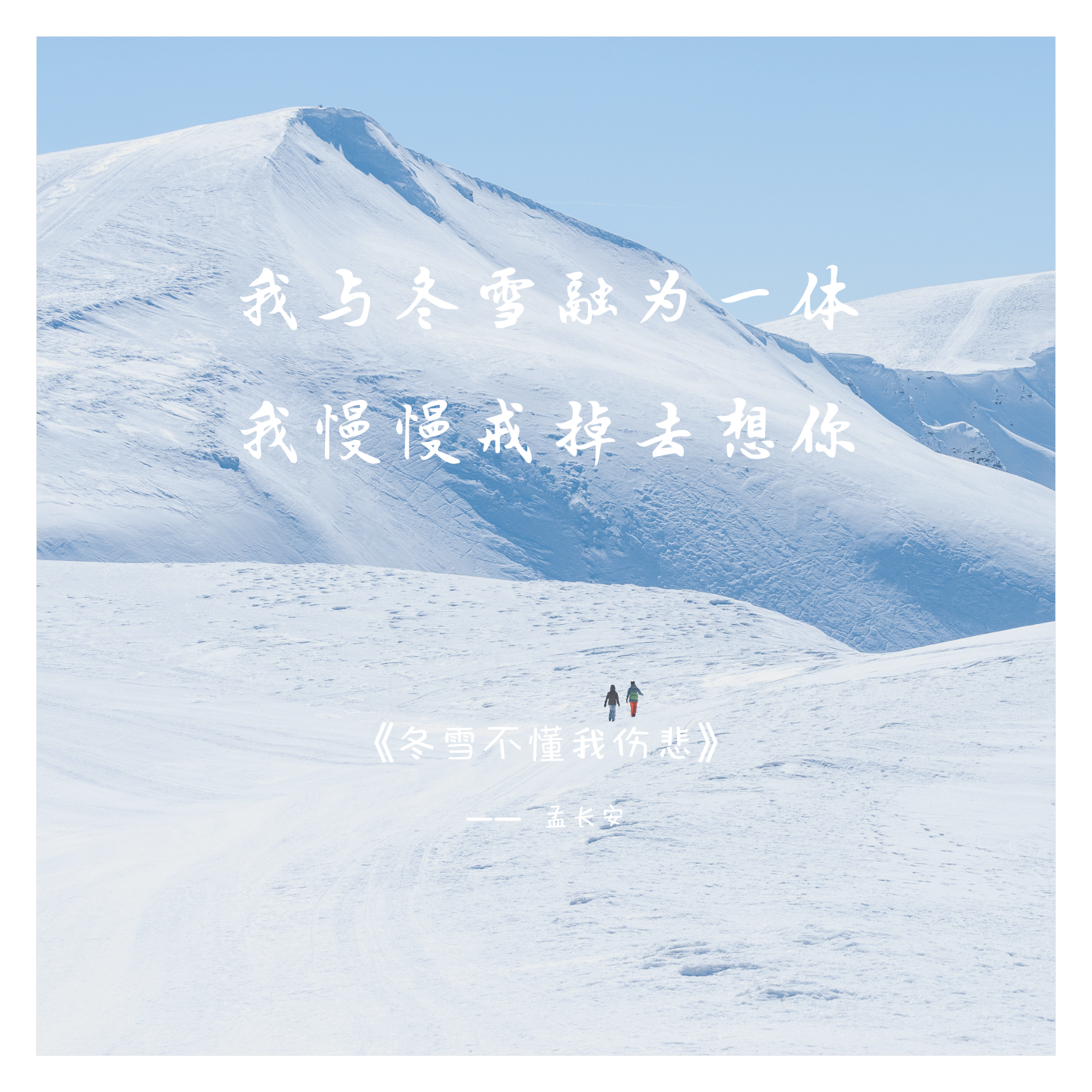 冬雪不懂我伤悲封面