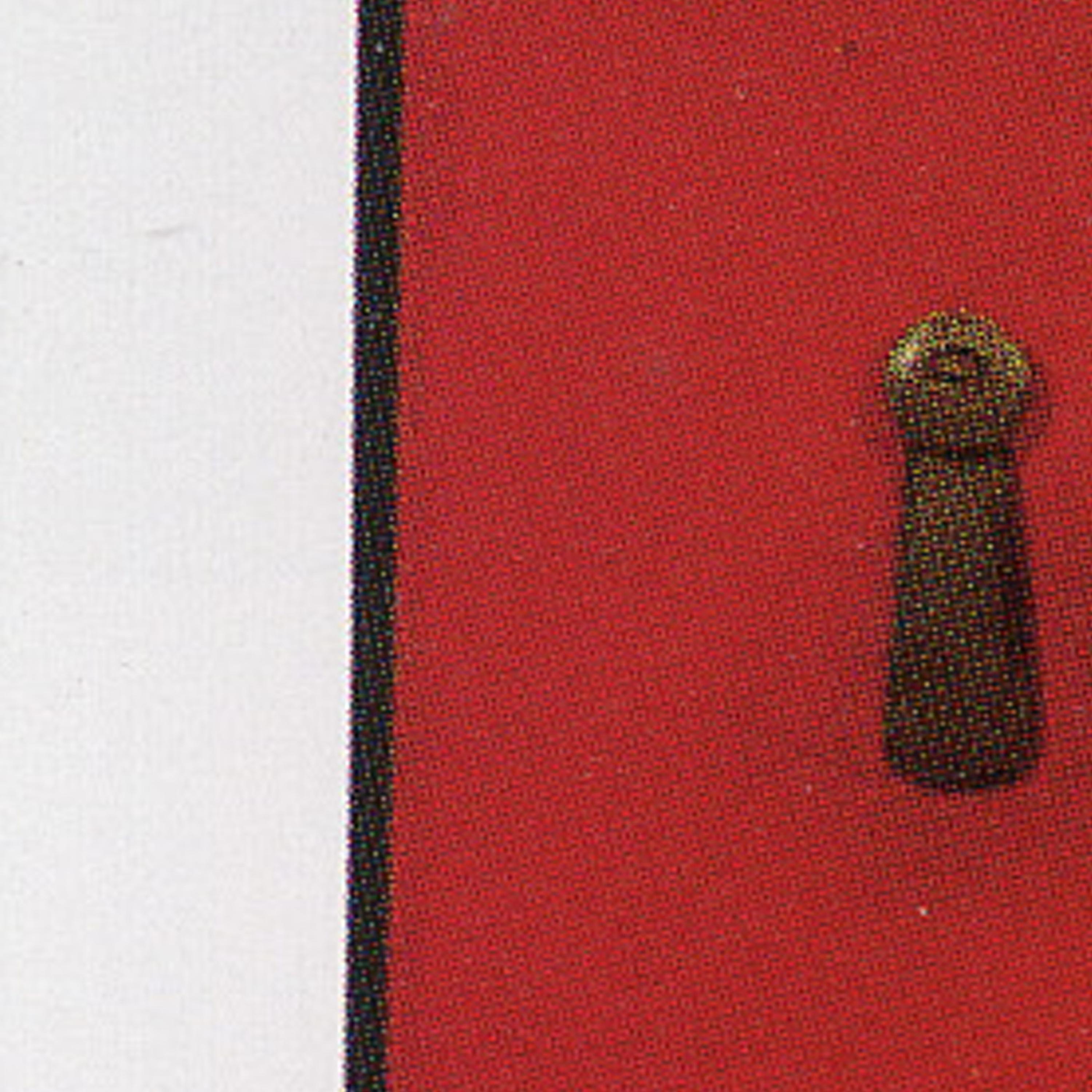 you starling (28.3.2026)