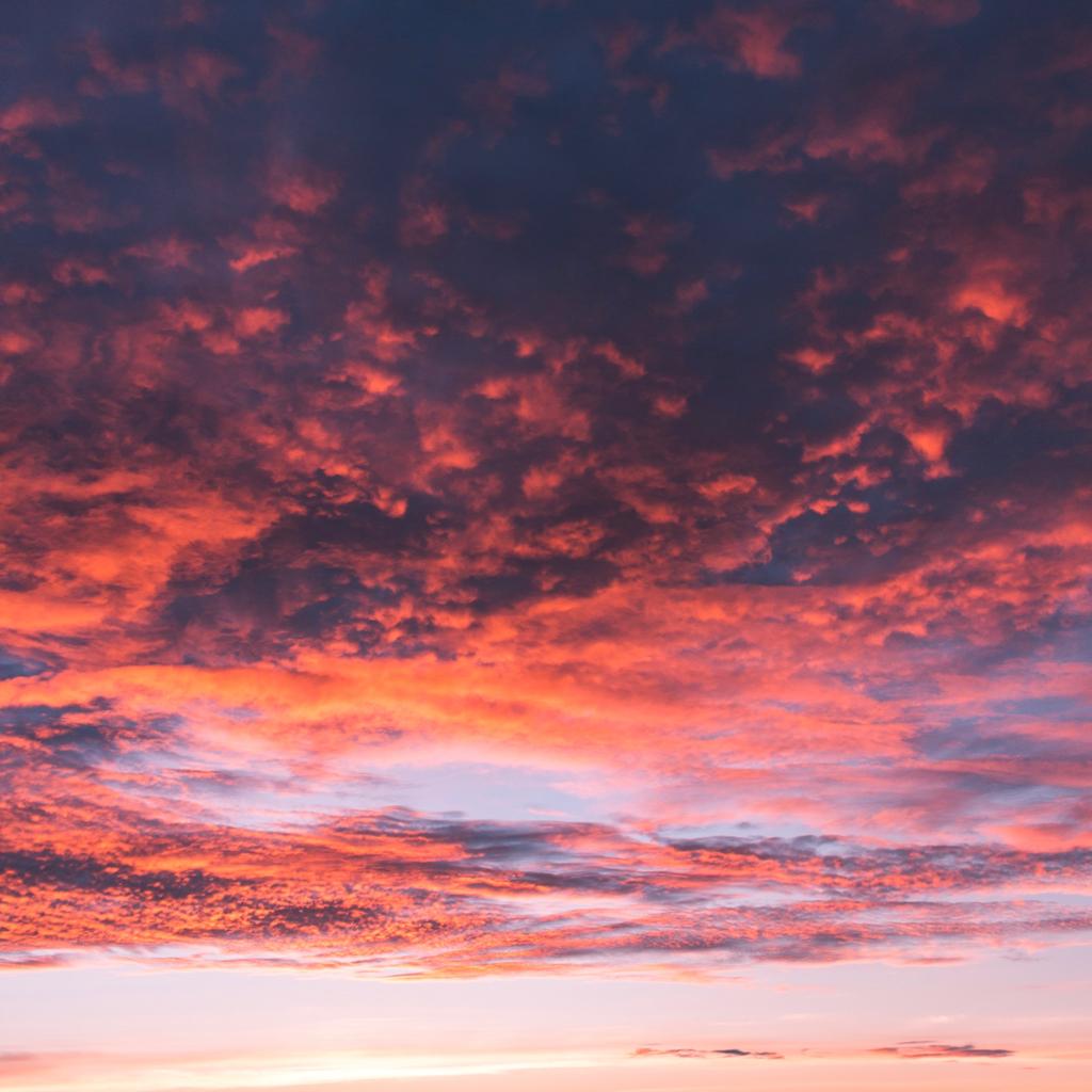 尽在无言中jzwyz