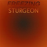 Freezing Sturgeon