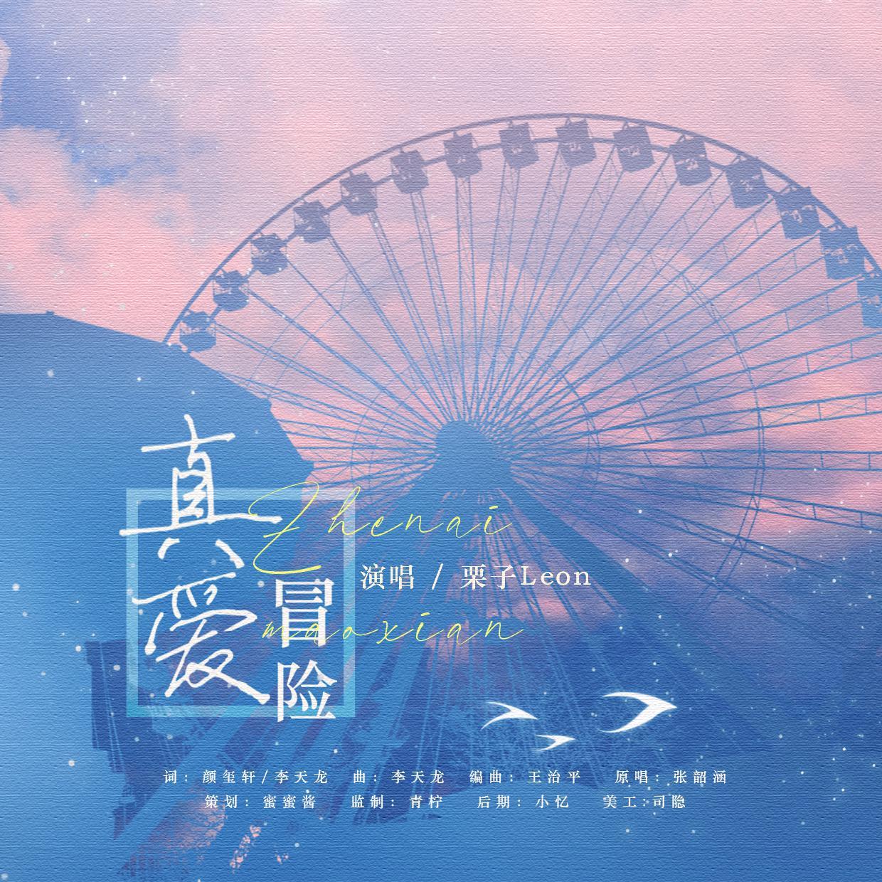 真爱冒险封面