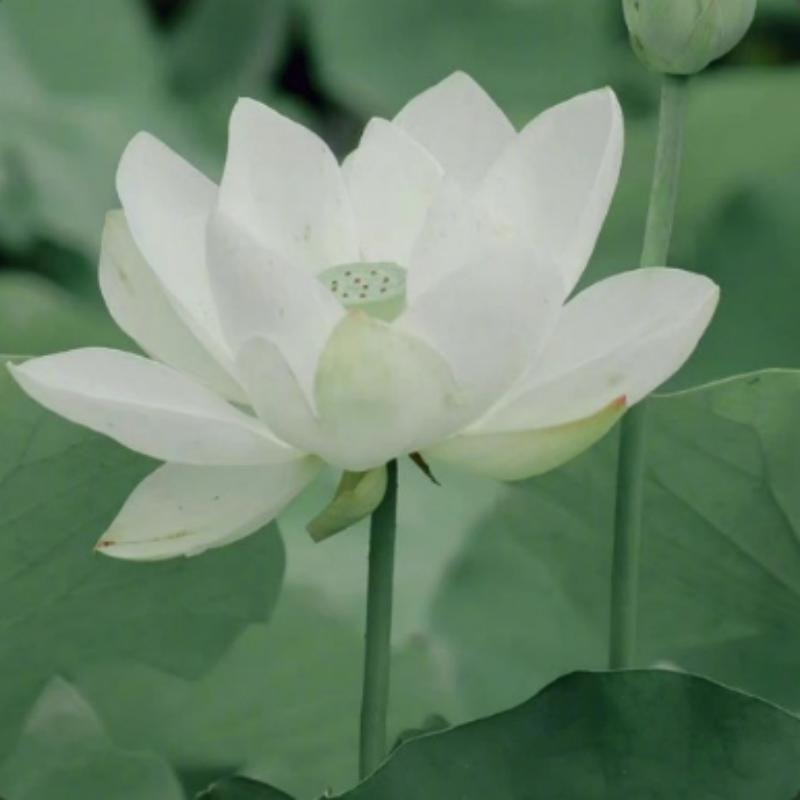 下个街角封面