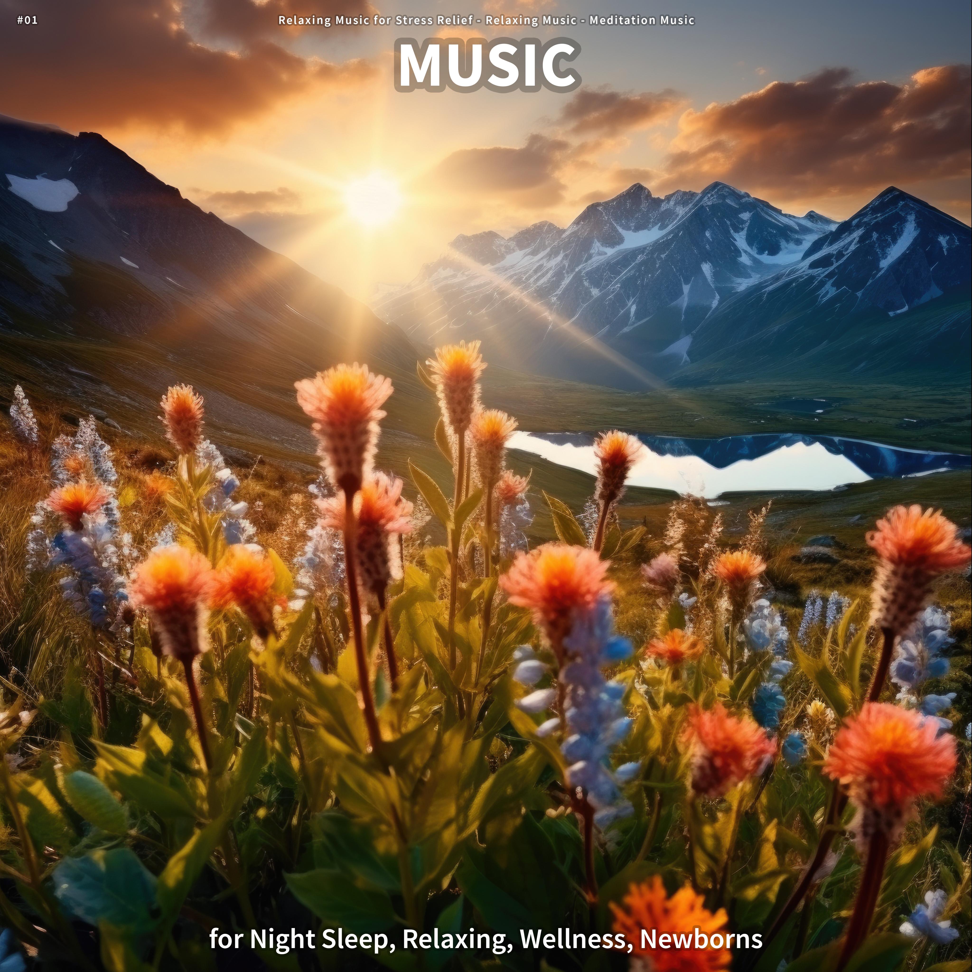 Relaxing Music for Spa