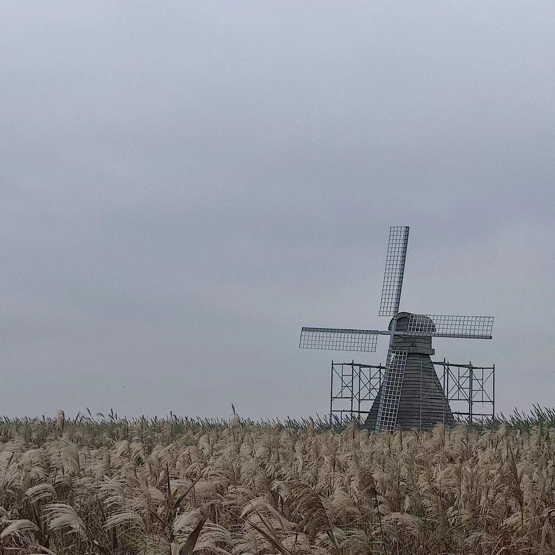 一朝芳草碧连天