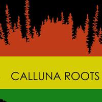 Calluna Roots