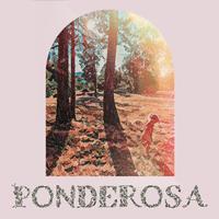 Ponderosa