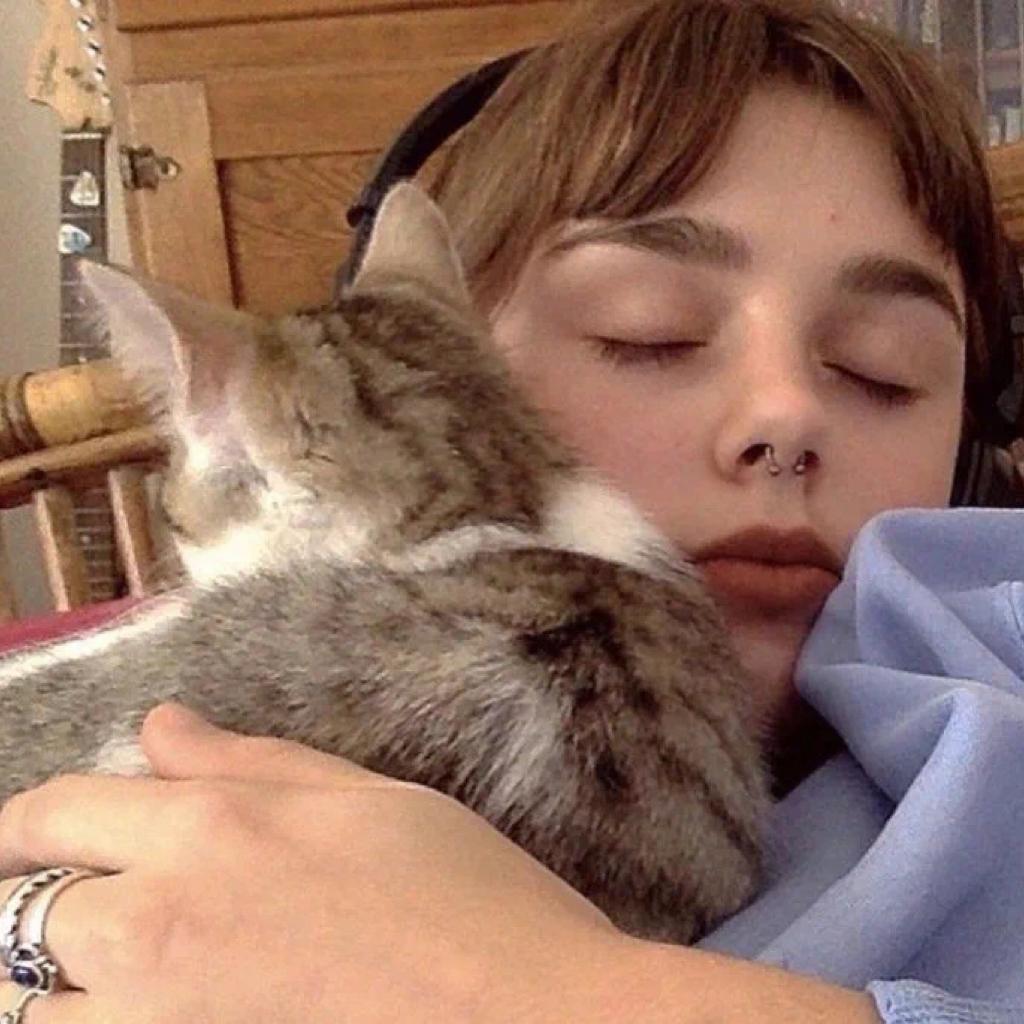 赖床专用| 欧美 | 慵懒向