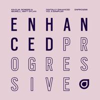 Digitally Enhanced Volume Eight - Sampler