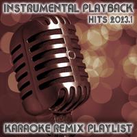 Instrumental Playback Hits (Karaoke Remix Playlist 2023.1)