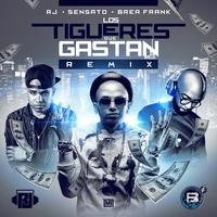 Los Tigueres Que Gastan (Remix)