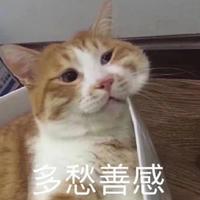 万安妮