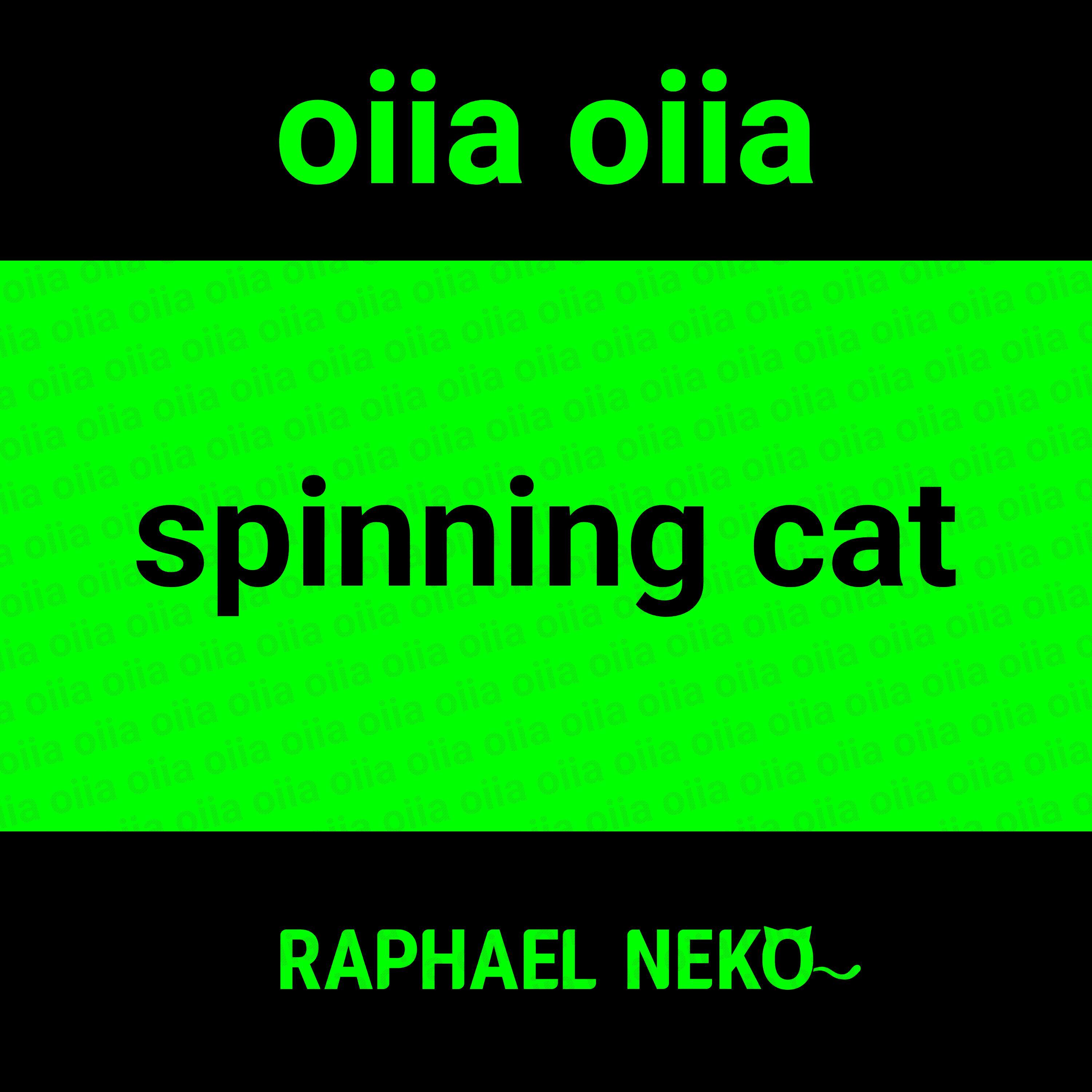 spinning cat (oiia oiia)