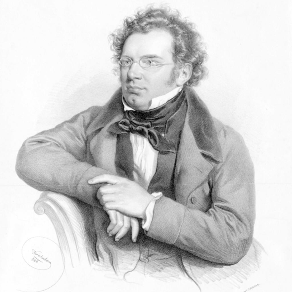 Schubert String Quartet Complete