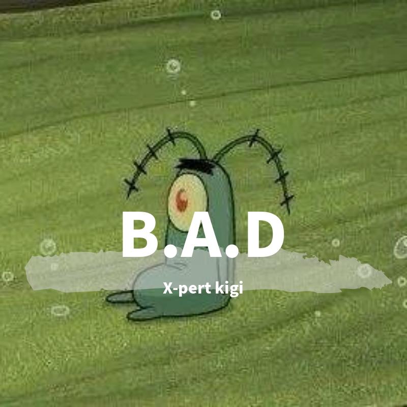 VINXEN-BAD SUNSET（X-pert kigi remix）