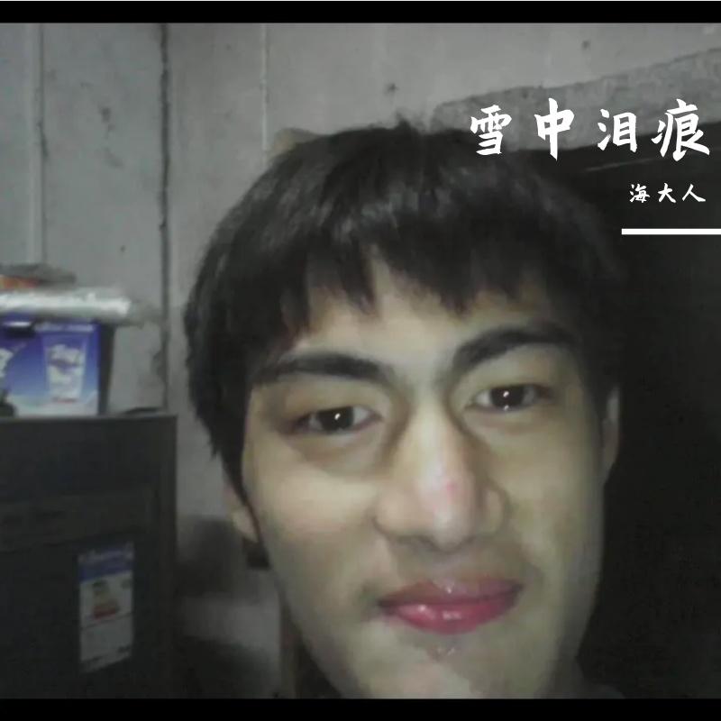 雪中泪痕封面