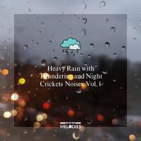 Heavy Rain with Thundering and Night Crickets Noises, Vol. 1