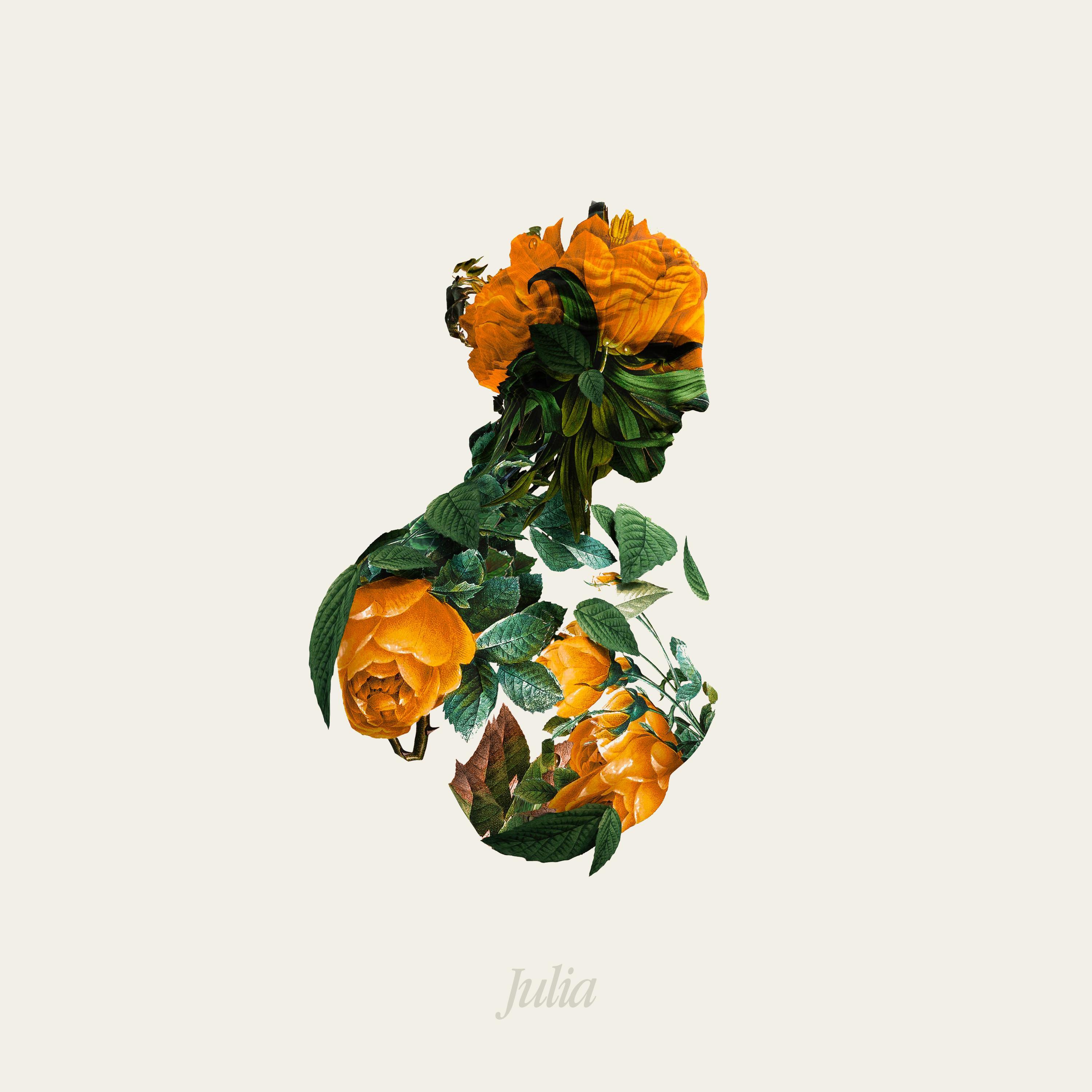 Julia封面