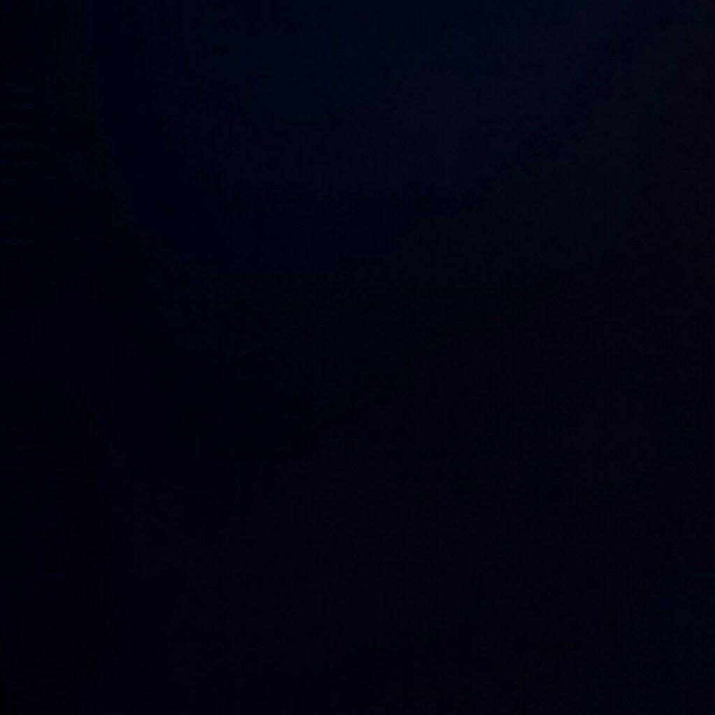 Veronica beccabunga