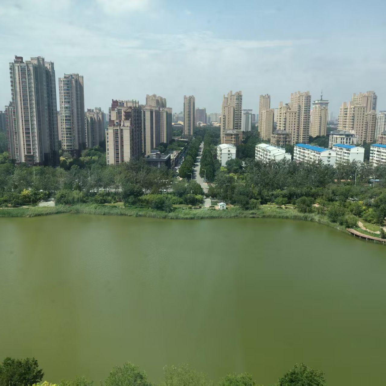 Optimized-《踏浪破霾逐光行》庙堂东方-开心-流行封面