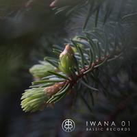 Iwana 01