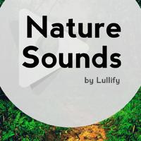 Nature Sounds by Lullify