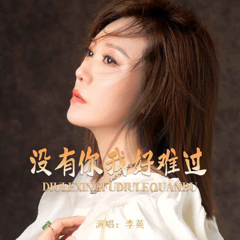 没有你我好难过 (DJ默涵版)封面