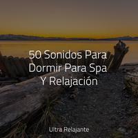 50 Sonidos Para Dormir Para Spa Y Relajación