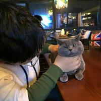 卤肉LUROOU