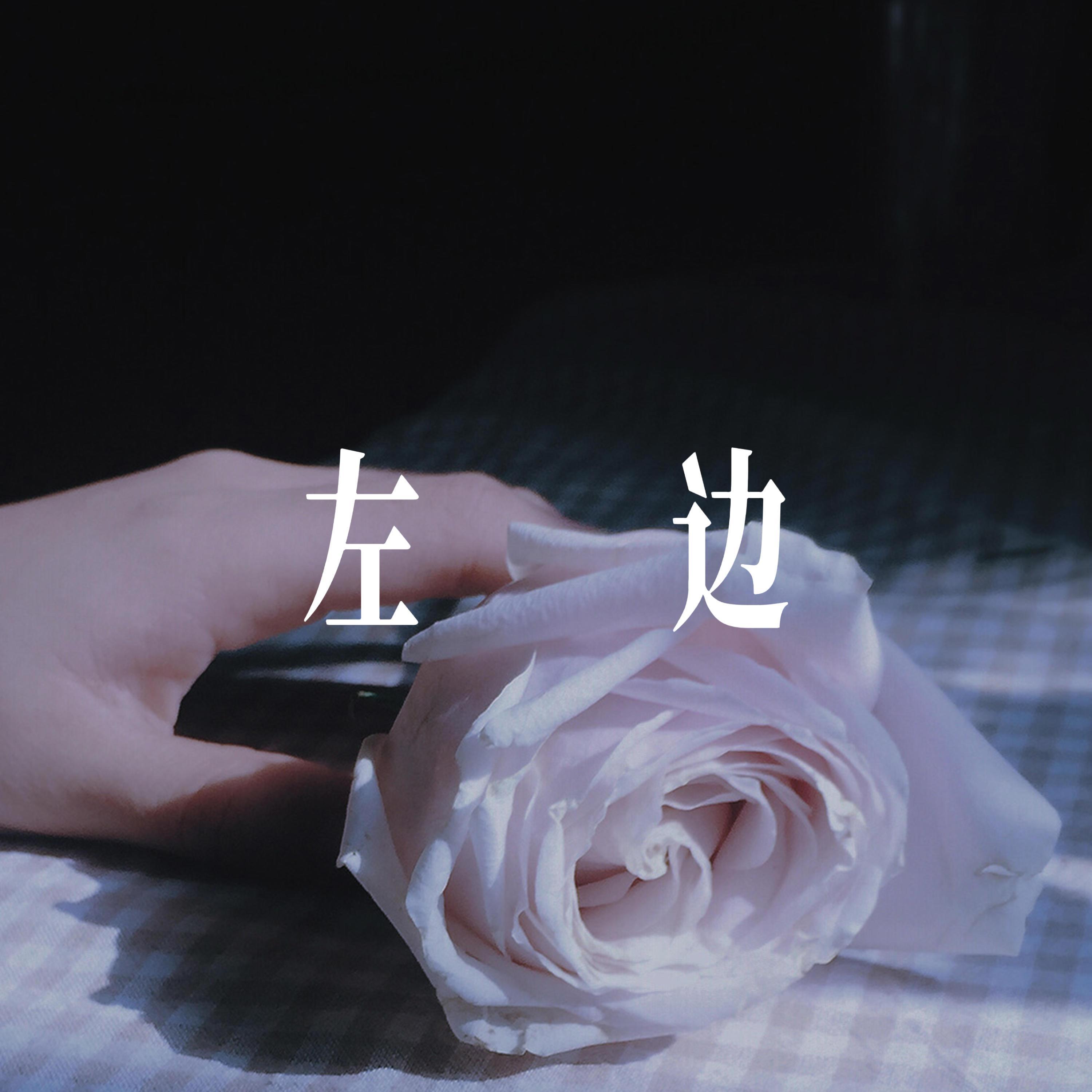 左边 - R&B男声封面