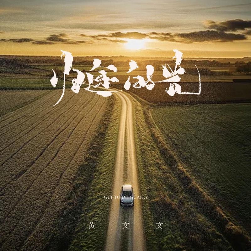 归途的光封面