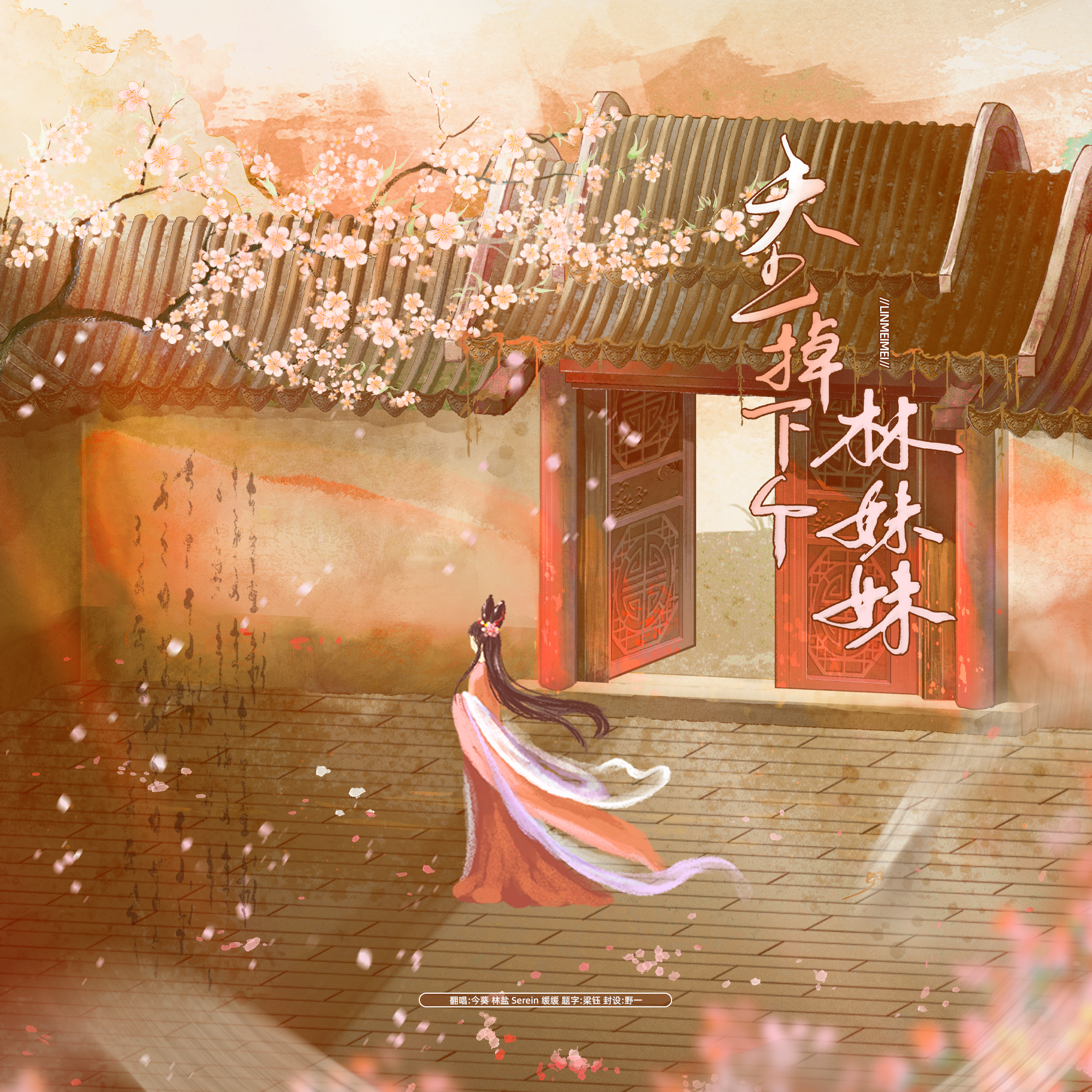 天上掉下个林妹妹