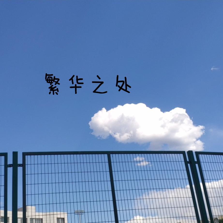 繁华之处封面
